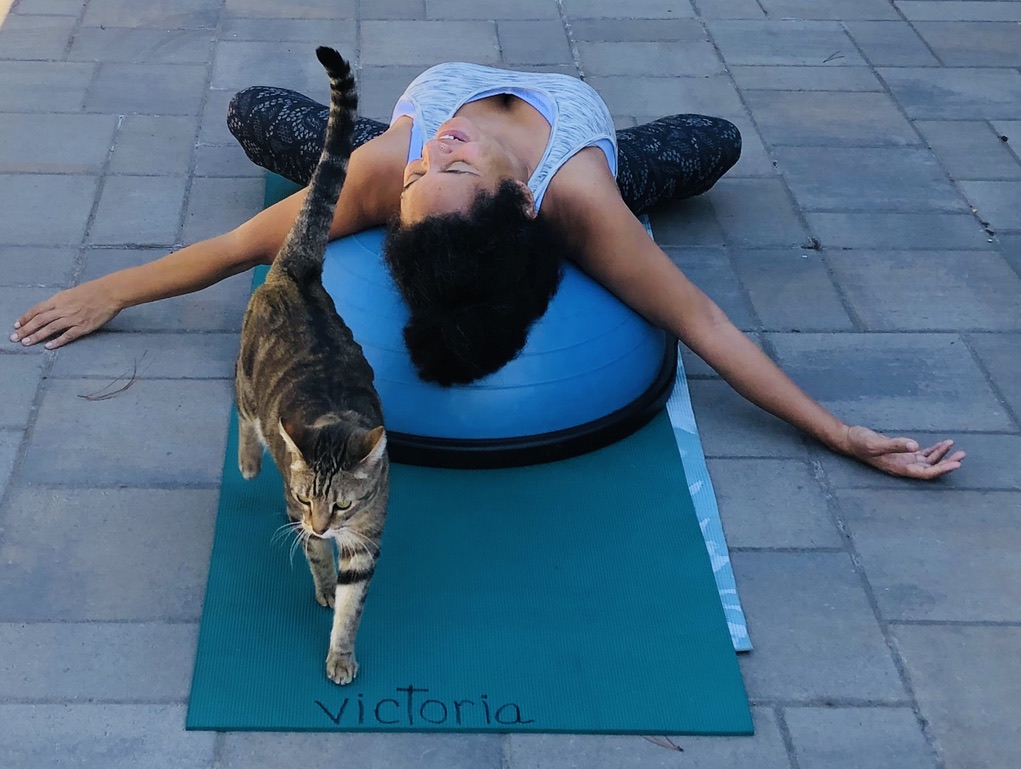 Core Cat Pilates